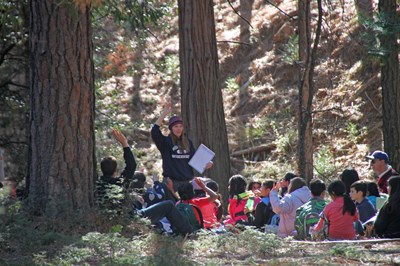 Kids in forest