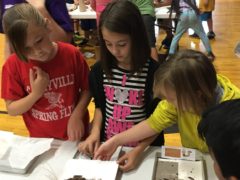 Three girls with worm experiment