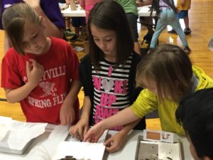 Three girls with worm experiment