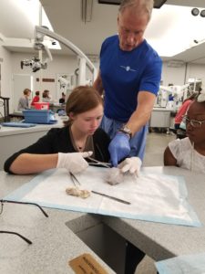 Girl getting instruction on dissecting a sheep's brain