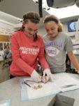 Middle School girls dissecting sheep's brain