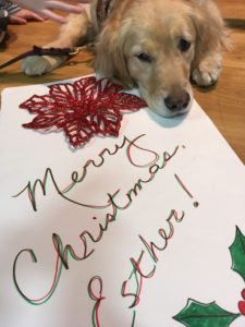 Esther the Comfort Dog with Christmas card