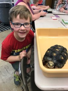 boy with turtle