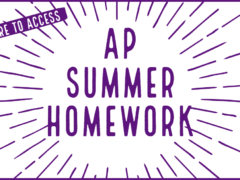 Access 2019 AP Summer Homework