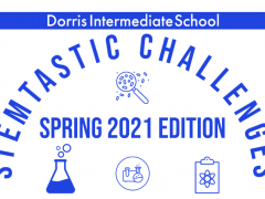 See DIS STEM 2020-21 End-of-Year Challenges