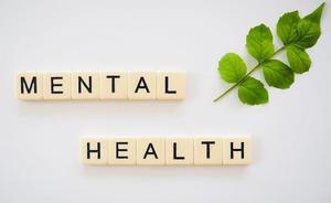 Mental Health Picture