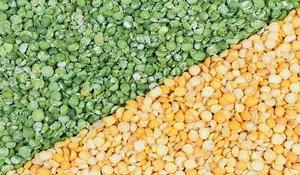 Picture of Split Peas