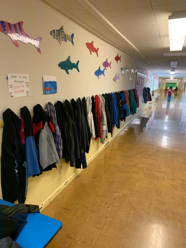 Blossom Lost and found