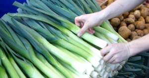 Photo of leeks