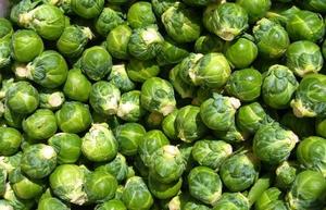 Picture of Brussels Sprouts