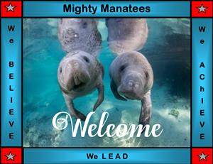 Welcome image of Manatees 