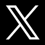 X Logo Icon