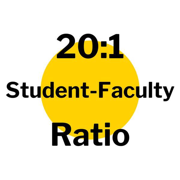 20:1 student-faculty ratio