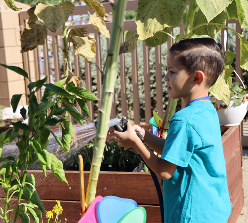 Preschool child in garden