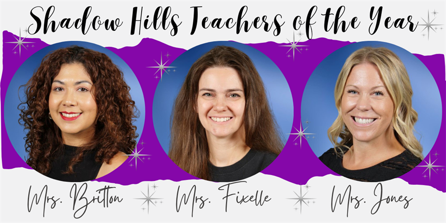 Teachers of the year