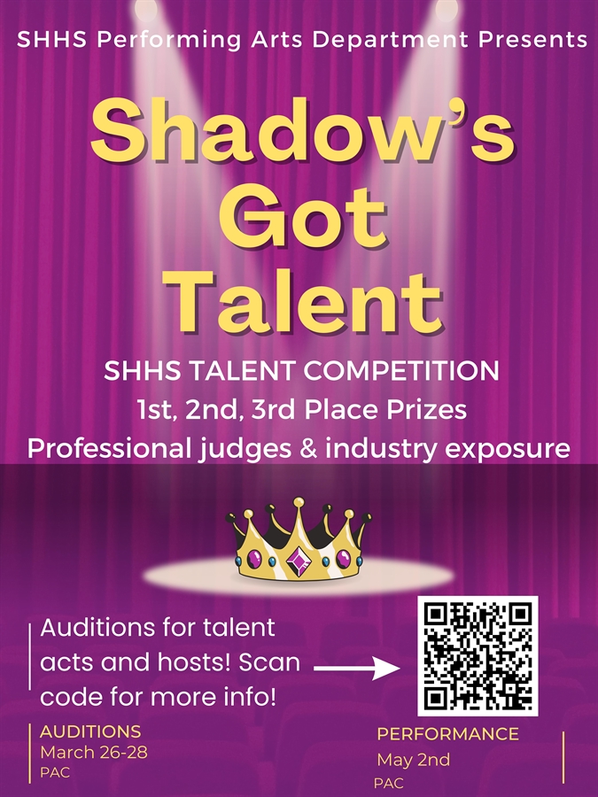 Talent show audition poster