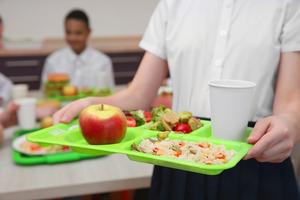 Lunch Tray