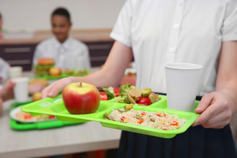 Lunch Tray