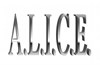 A.L.I.C.E. image