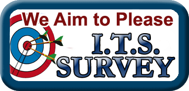 ITS Survey