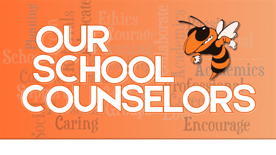 Counselor 1