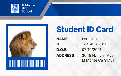 ID card