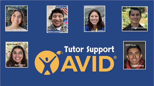 Meet the AVID Tutors...