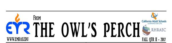 From The Owl's Perch November 2017