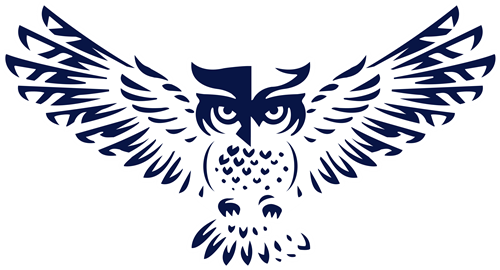 owl logo open wings
