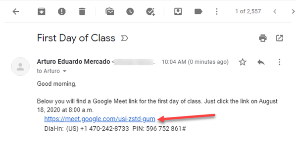 Google Meet sample email 
