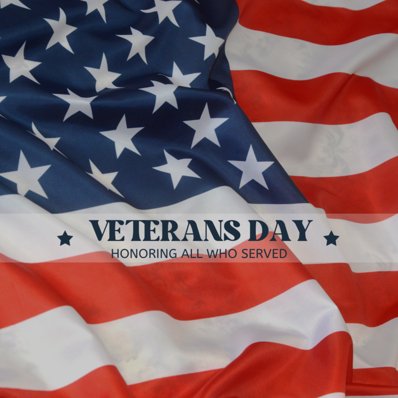 Veterans Day Video