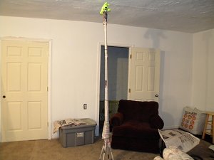 towering teddy towering teddy