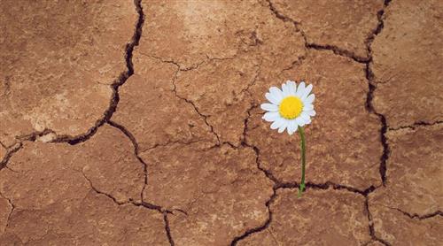 Perseverance Perseverance