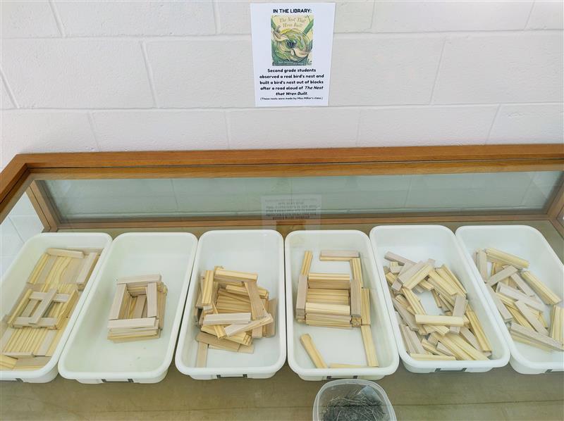 birds nests out of Keva planks