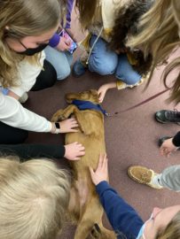 Students interact with RocDog therapy dogs