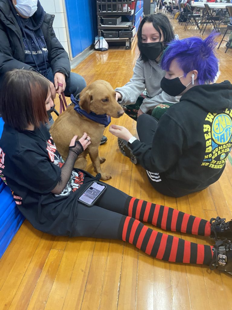 Students gather around a therapy dog