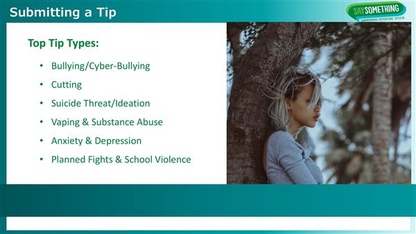 Say Something Anonymous Reporting System Top Tip Types
