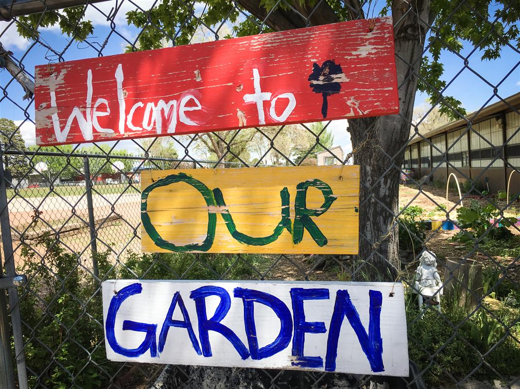 The Killip Garden allows for hands-on learning and provides food for the Killip community.
