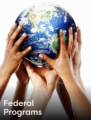 Federal Programs icon