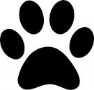  Dog Paw