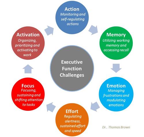 Executive Functioning Challenges 