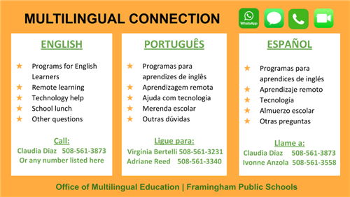 Multilingual Connection