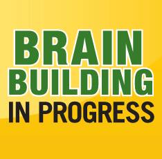 Brain Building In Progress 