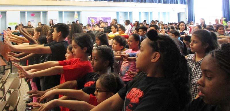 Students Doing a Activity