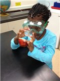 Apple Science Lesson