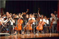 Atkinson’s Artistic 2