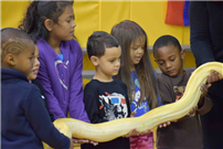 Animals for PARP kickoff 2