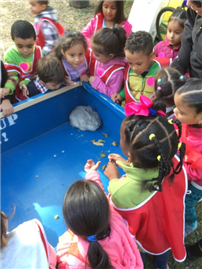 Flushing for Pumpkins 3