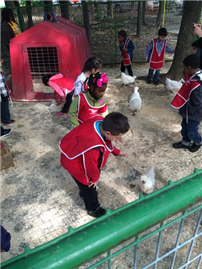 Flushing for Pumpkins 2