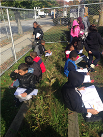Archer Sees Seeds Turn to Milkweeds1